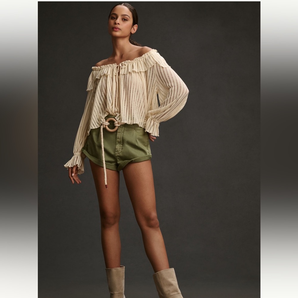 Anthropologie Long Sleeve Sheer Striped Blouse. NWT. Size Large.